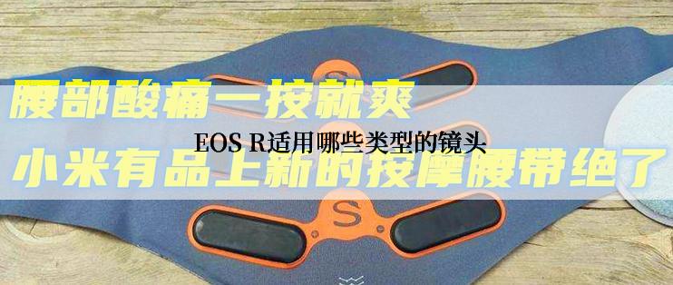  EOS R适用哪些类型的镜头