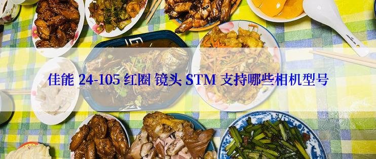 佳能 24-105 红圈 镜头 STM 支持哪些相机型号