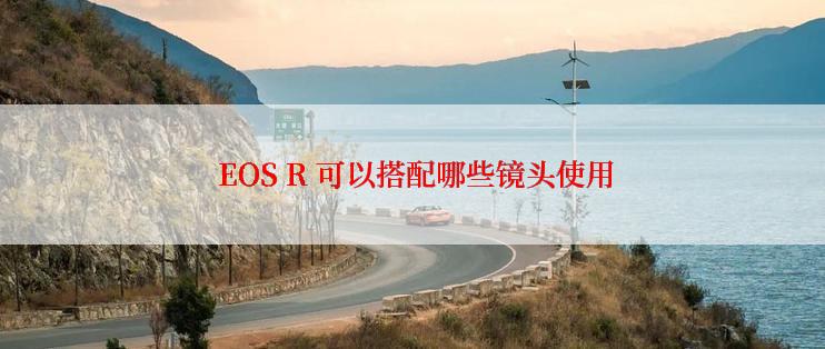  EOS R 可以搭配哪些镜头使用