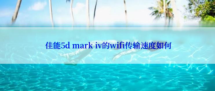  佳能5d mark iv的wifi传输速度如何