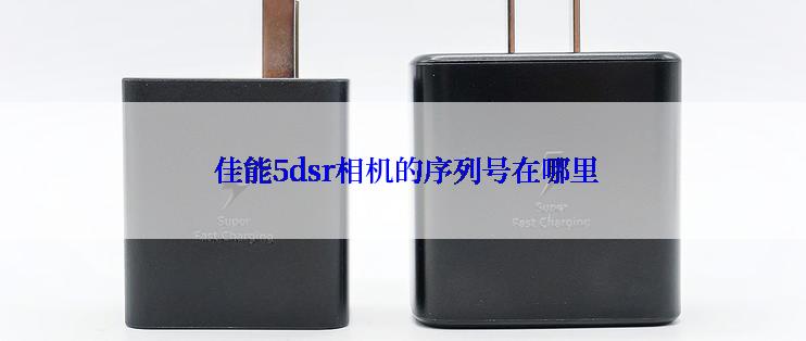  佳能5dsr相机的序列号在哪里