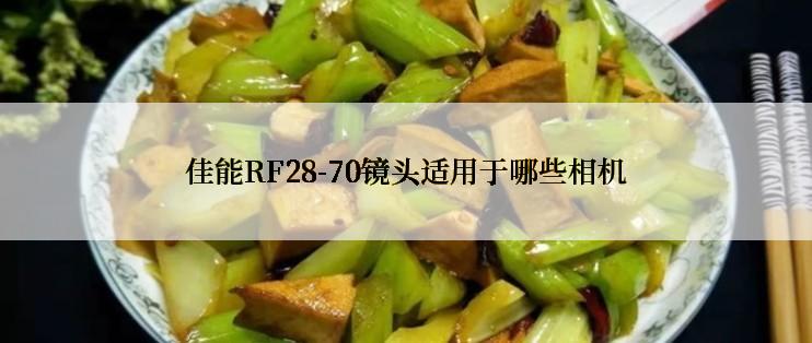 佳能RF28-70镜头适用于哪些相机