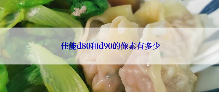  佳能d80和d90的像素有多少