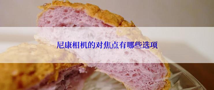 尼康相机的对焦点有哪些选项