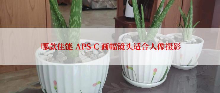  哪款佳能 APS-C 画幅镜头适合人像摄影