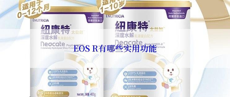 EOS R有哪些实用功能