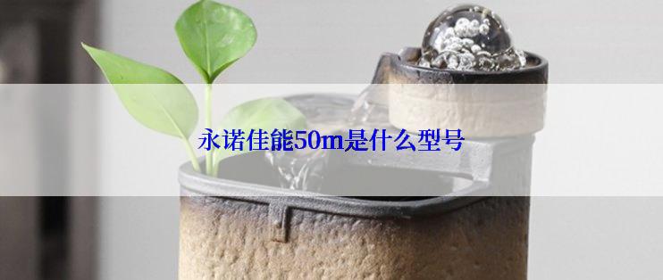 永诺佳能50m是什么型号