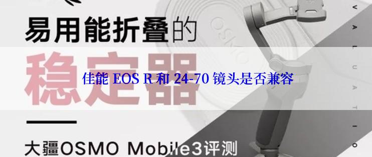  佳能 EOS R 和 24-70 镜头是否兼容