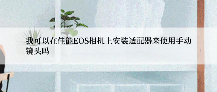 我可以在佳能EOS相机上安装适配器来使用手动镜头吗