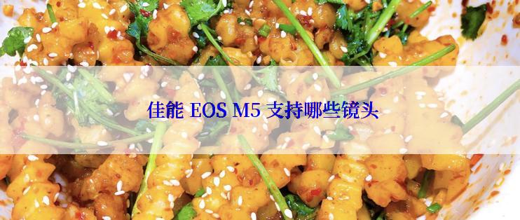  佳能 EOS M5 支持哪些镜头