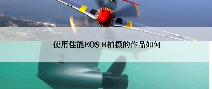  使用佳能EOS R拍摄的作品如何