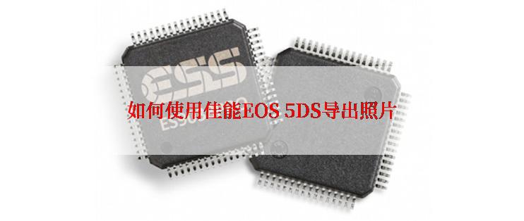 如何使用佳能EOS 5DS导出照片