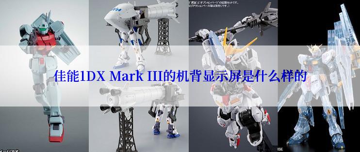 佳能1DX Mark III的机背显示屏是什么样的