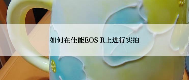 如何在佳能EOS R上进行实拍