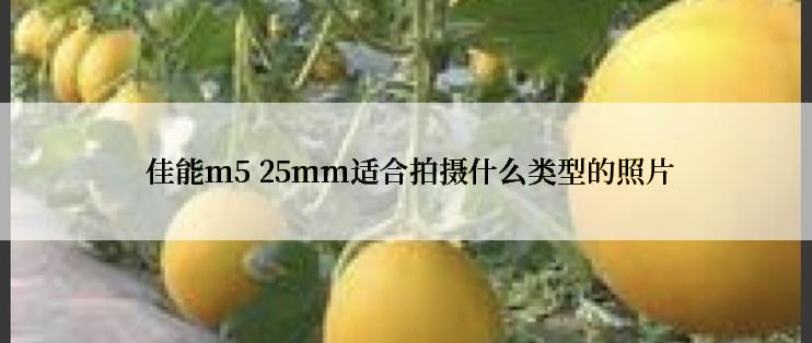  佳能m5 25mm适合拍摄什么类型的照片