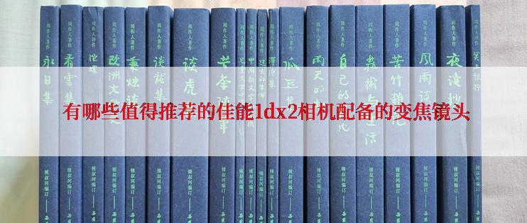  有哪些值得推荐的佳能1dx2相机配备的变焦镜头