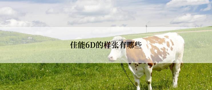 佳能6D的样张有哪些