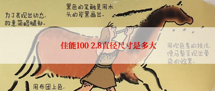  佳能100 2.8直径尺寸是多大