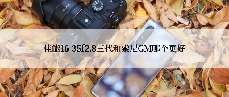 佳能16-35f2.8三代和索尼GM哪个更好