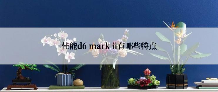 佳能d6 mark ii有哪些特点