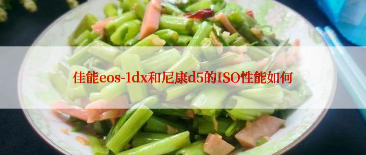 佳能eos-1dx和尼康d5的ISO性能如何