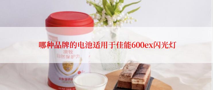  哪种品牌的电池适用于佳能600ex闪光灯