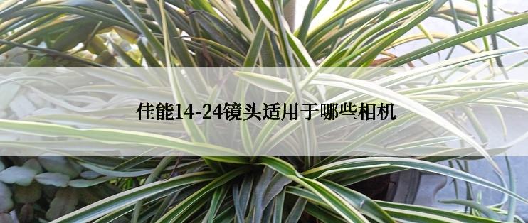  佳能14-24镜头适用于哪些相机