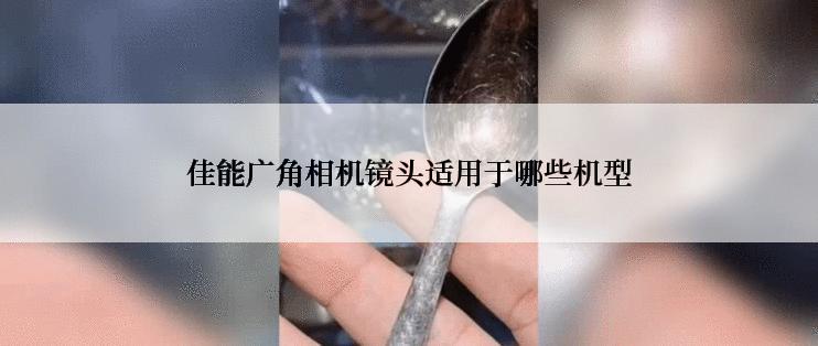 佳能广角相机镜头适用于哪些机型