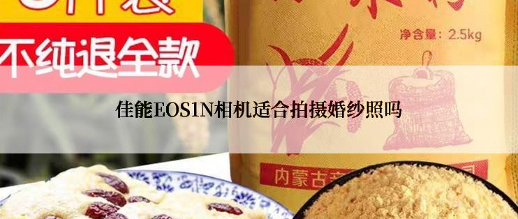 佳能EOS1N相机适合拍摄婚纱照吗