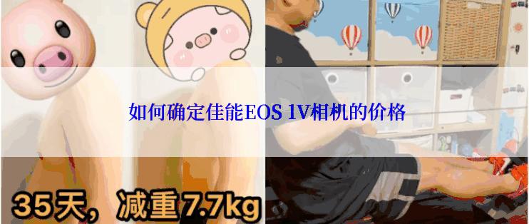  如何确定佳能EOS 1V相机的价格