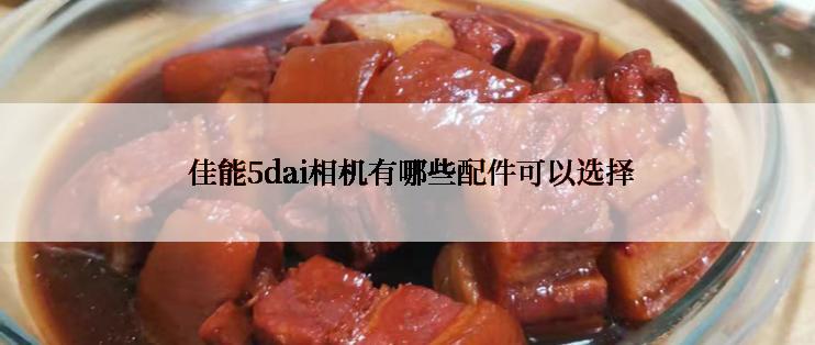  佳能5dai相机有哪些配件可以选择