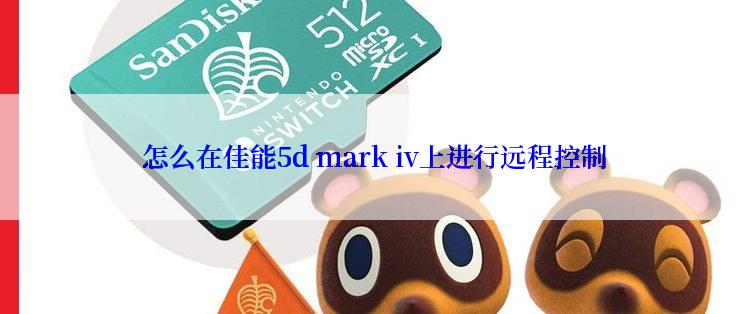  怎么在佳能5d mark iv上进行远程控制