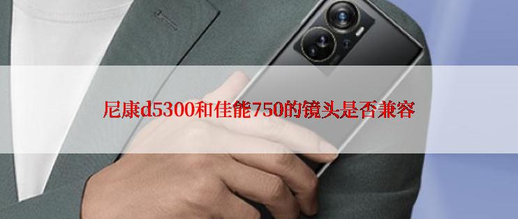 尼康d5300和佳能750的镜头是否兼容