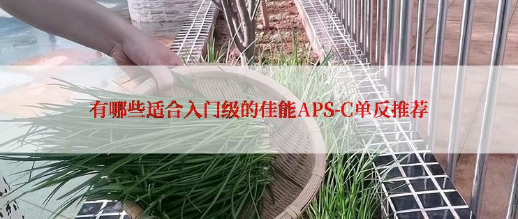 有哪些适合入门级的佳能APS-C单反推荐