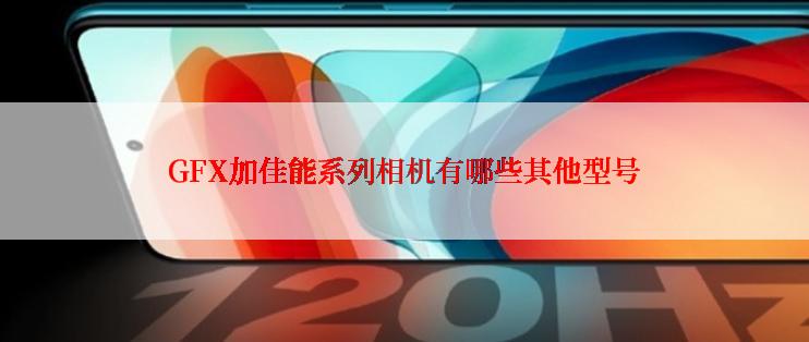 GFX加佳能系列相机有哪些其他型号