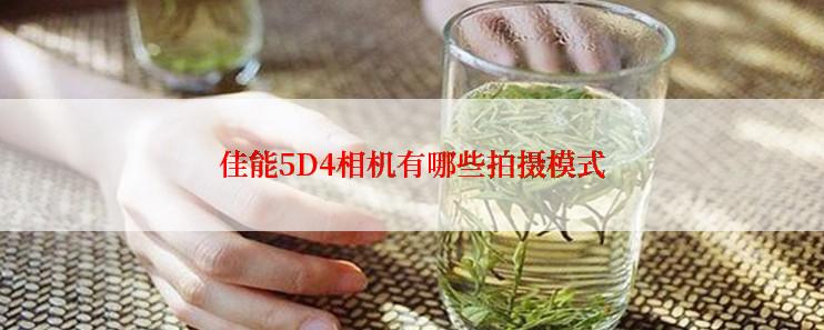 佳能5D4相机有哪些拍摄模式