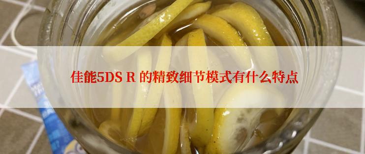  佳能5DS R 的精致细节模式有什么特点