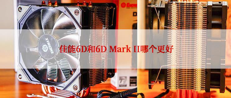  佳能6D和6D Mark II哪个更好