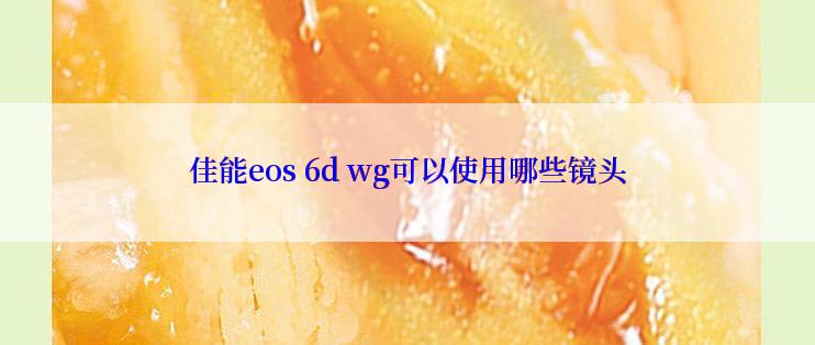 佳能eos 6d wg可以使用哪些镜头