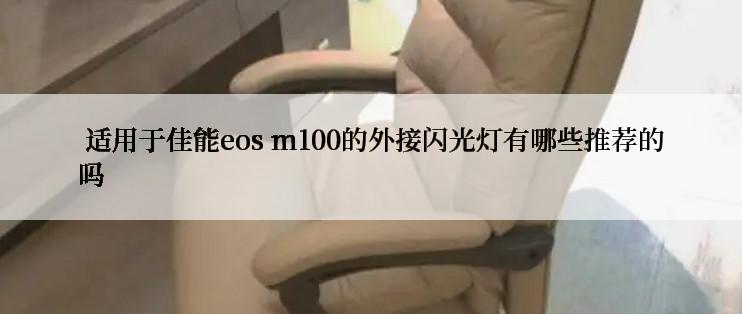  适用于佳能eos m100的外接闪光灯有哪些推荐的吗