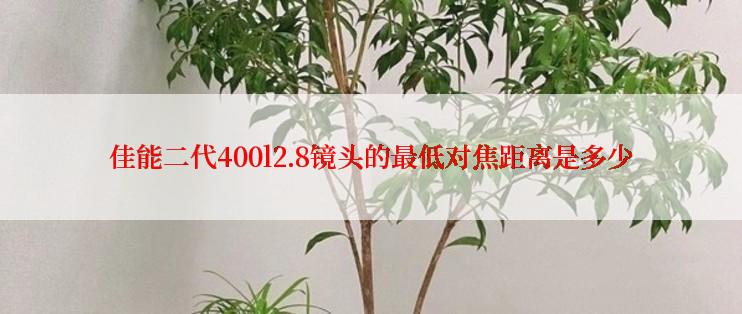 佳能二代400l2.8镜头的最低对焦距离是多少