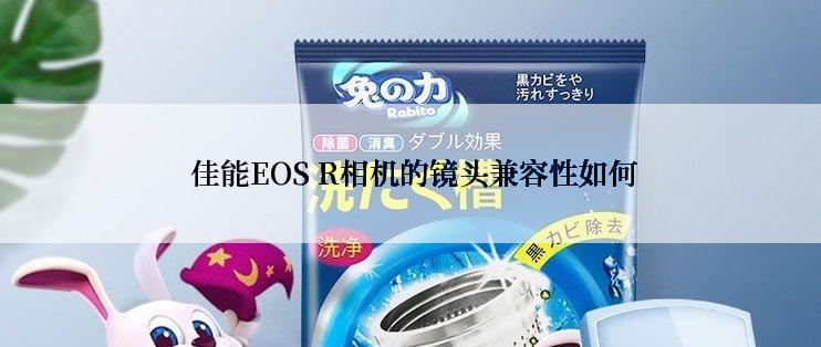  佳能EOS R相机的镜头兼容性如何