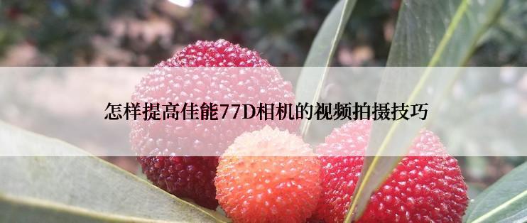  怎样提高佳能77D相机的视频拍摄技巧