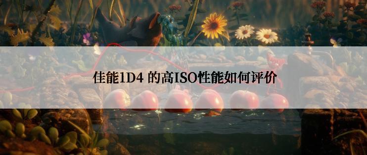  佳能1D4 的高ISO性能如何评价