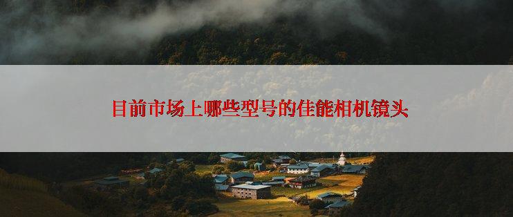  目前市场上哪些型号的佳能相机镜头