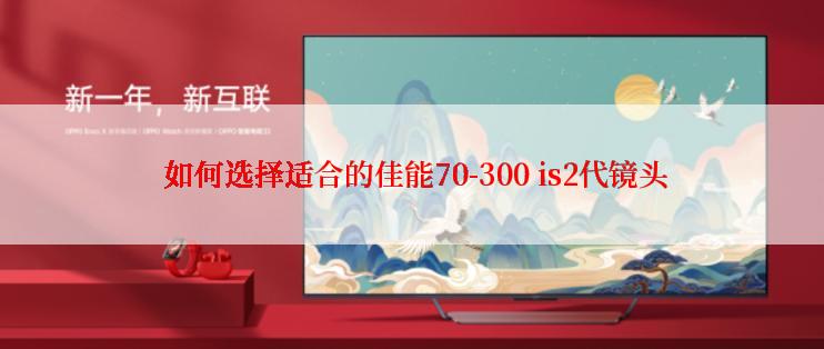  如何选择适合的佳能70-300 is2代镜头