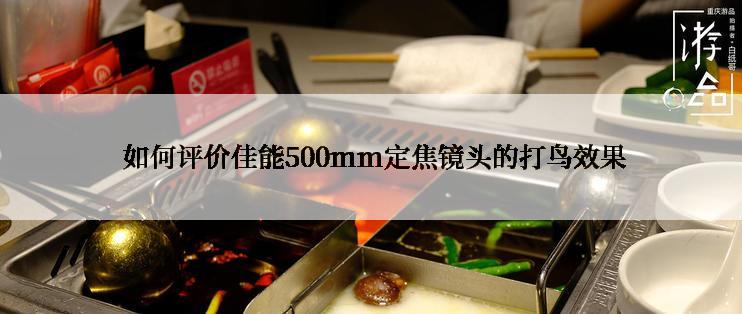  如何评价佳能500mm定焦镜头的打鸟效果