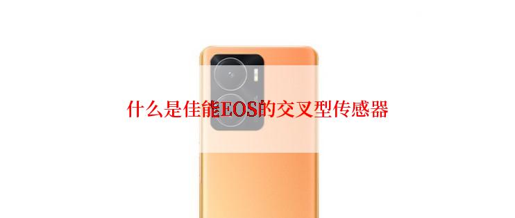 什么是佳能EOS的交叉型传感器