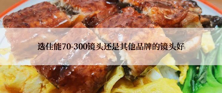 选佳能70-300镜头还是其他品牌的镜头好