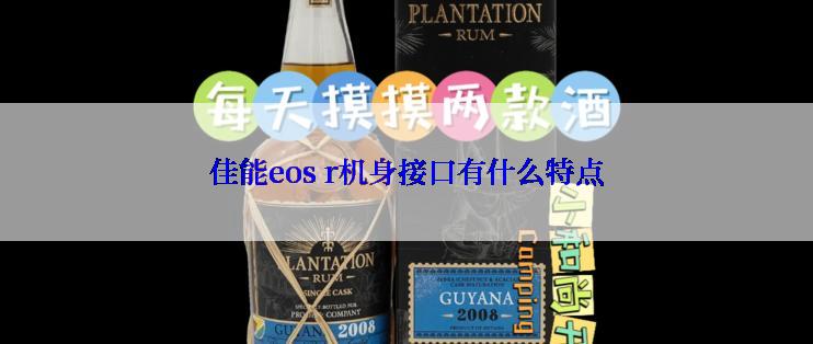 佳能eos r机身接口有什么特点